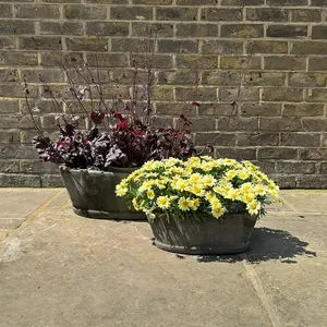 Alice Choko Patina (W35XH14XD21.5cm) Outdoor Oval Trough Planter Plant Pot - image 2