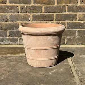 Antique Sand Coni Rim (Pot Size D34xH29cm) Planter Terracotta Outdoor Plant Pot - image 3