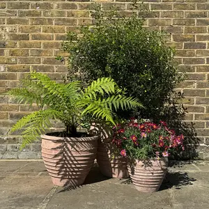 Antique Sand Ribbed Urn Stone Planter (Pot Size D41xH36cm) Terracotta Outdoor Plant Pot - image 2