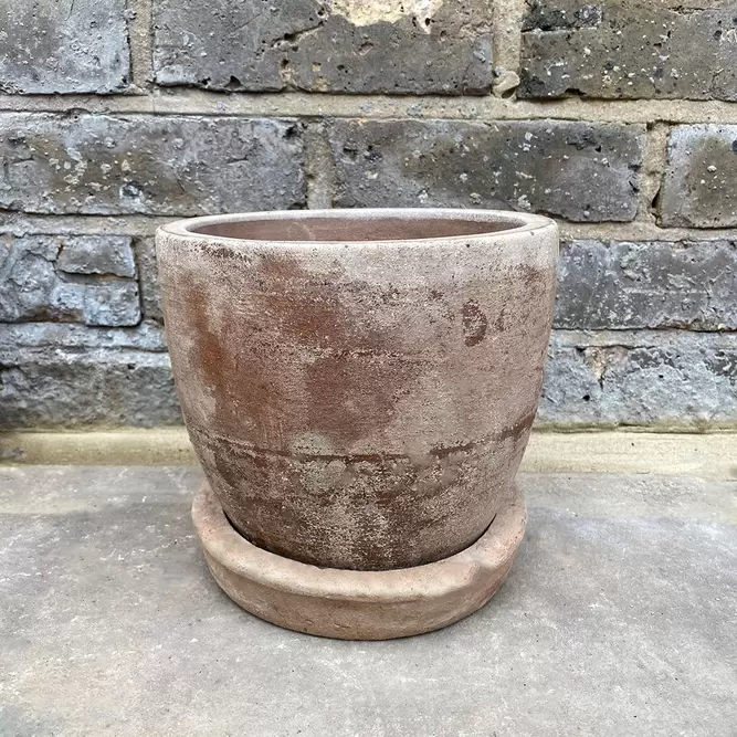 Antique Sand Stone Saucer (D22cm) Plant Pot Saucer - image 3
