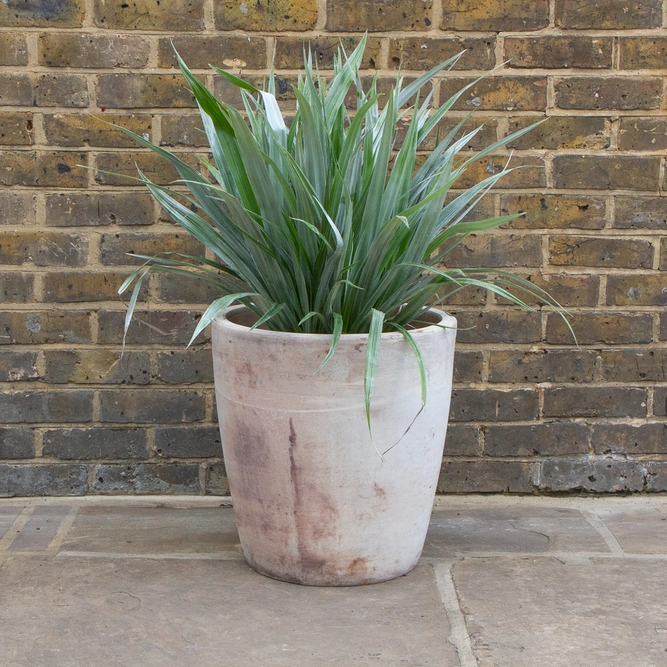 Antique Stone Handmade Vase Planter (D44cm x H46cm) Outdoor Plant Pot - image 3