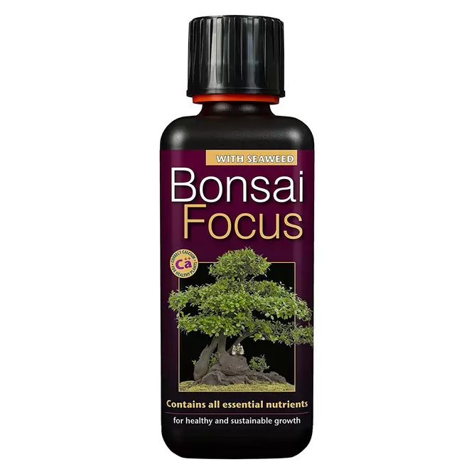 Bonsai Focus 300ml Bonsai Plant Food - image 1