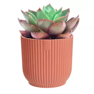 Elho Eco-Plastic Pink (Pot Size 9cm) Indoor Plant Pot Cover - image 2