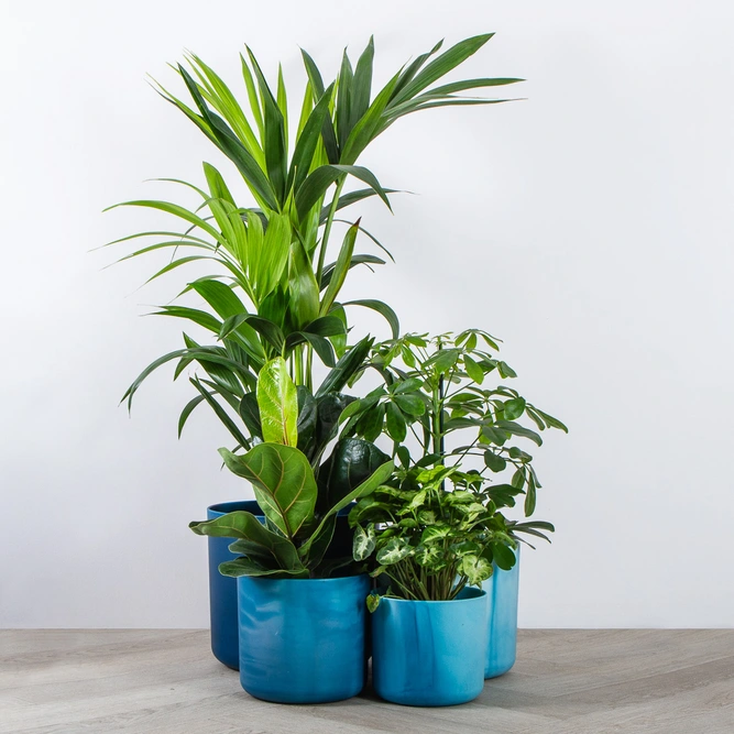 Elho Ocean Collection Blue (Pot Size 16cm) Indoor Plant Pot Cover - image 5