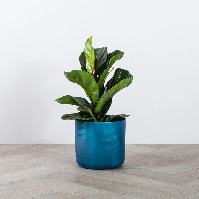 Elho Ocean Collection Blue (Pot Size 16cm) Indoor Plant Pot Cover - image 3