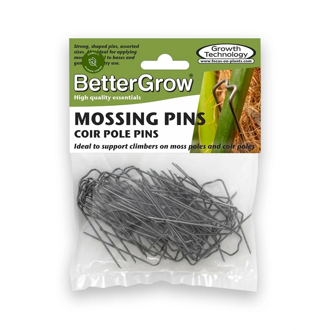Mossing Pins for houseplants