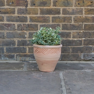 Whitewash Terracotta Handmade Stan Etched Planter (D18cm x H17cm) Outdoor Plant Pot - image 7
