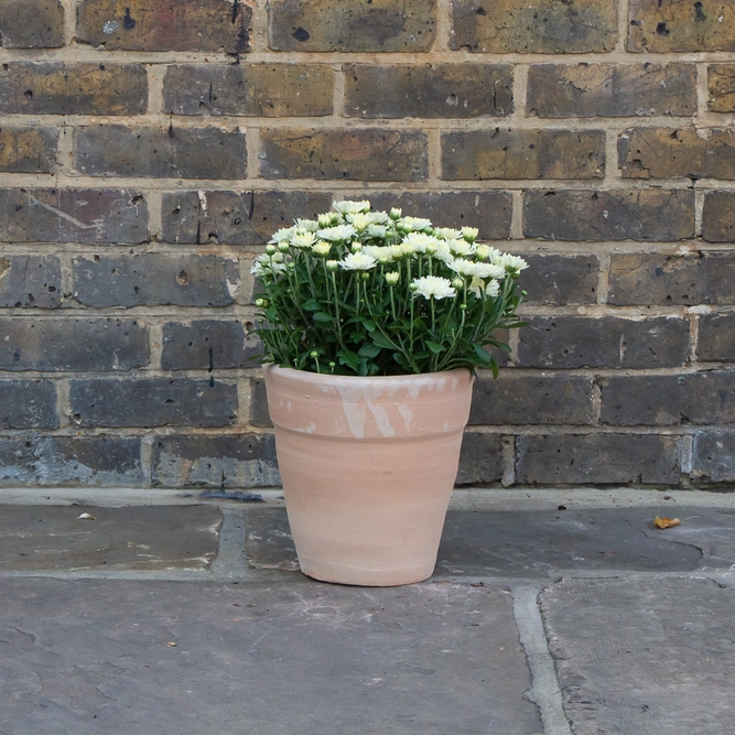 Whitewash Terracotta Handmade Stan Wide Planter (D24cm x H24cm) Outdoor Plant Pot - image 3