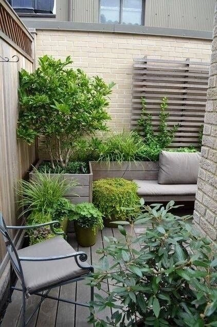 Courtyard Micro Jungle