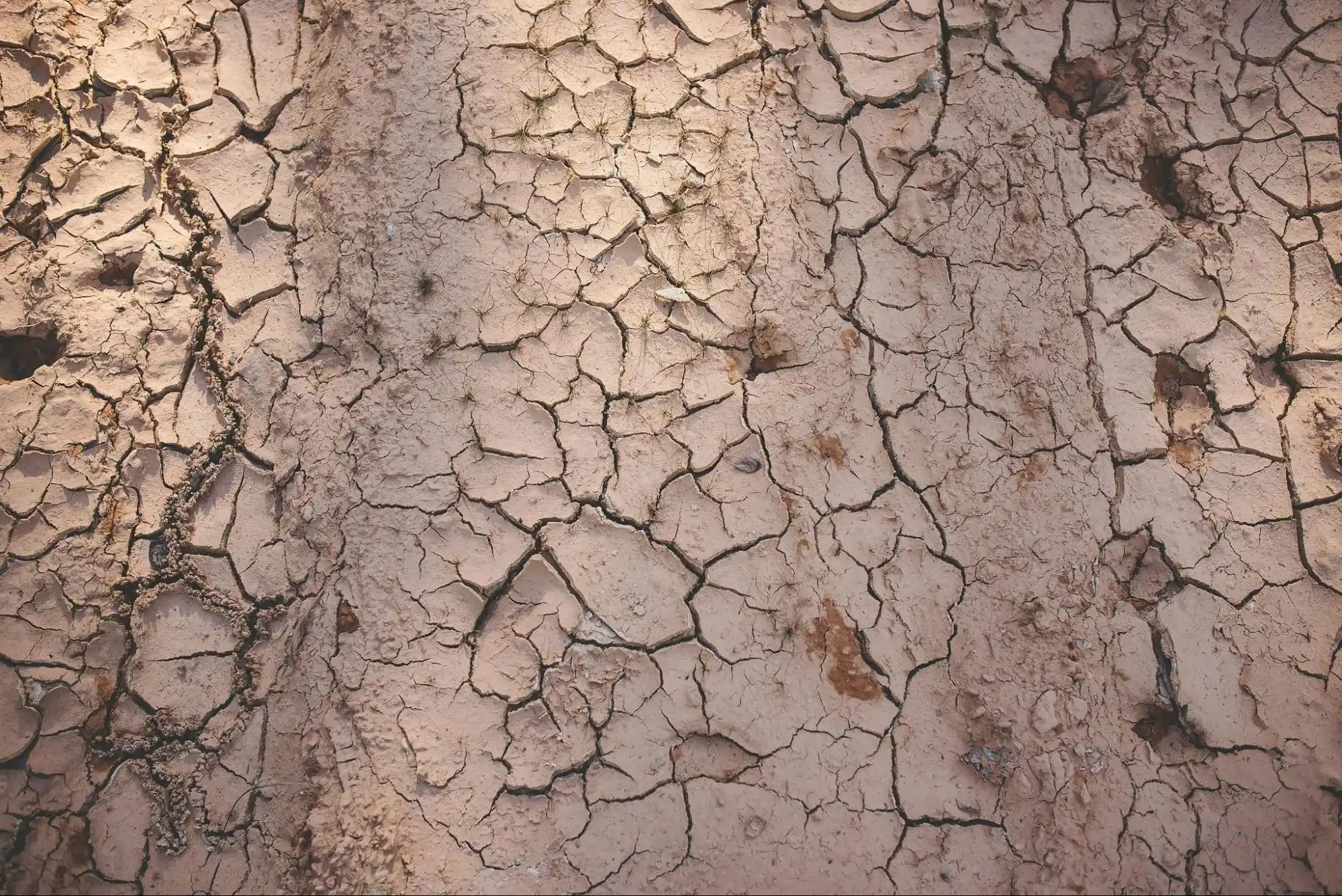 dry cracked soil