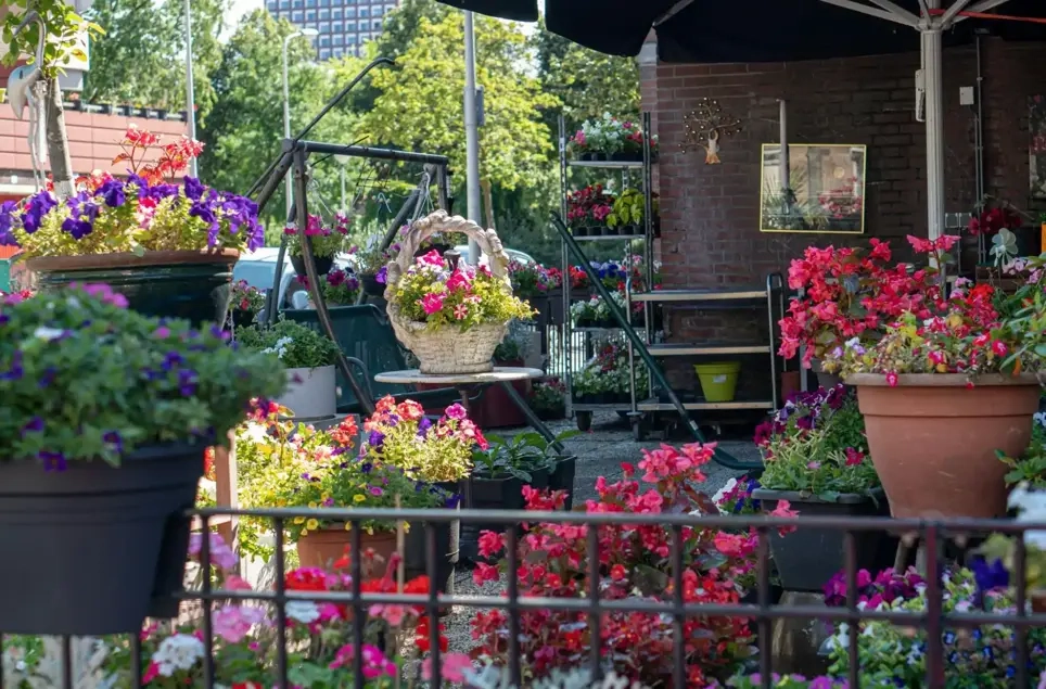 home garden flowers