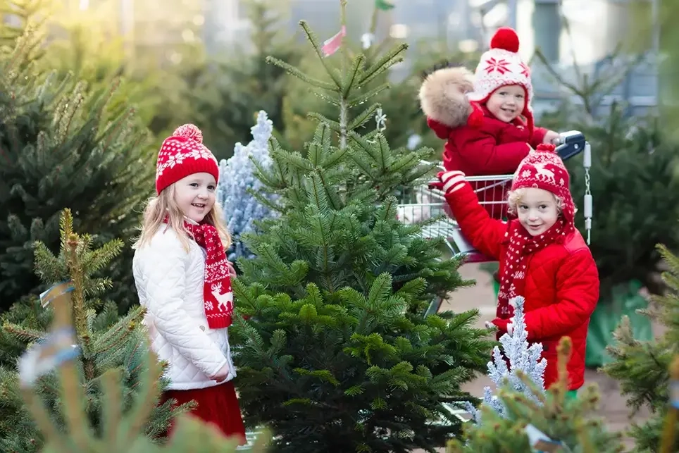 kids gathered around a small fir tree