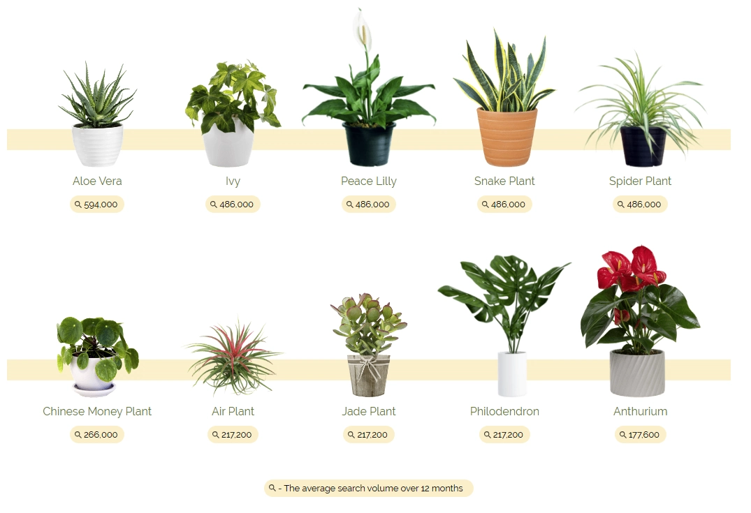 most popular houseplants graph
