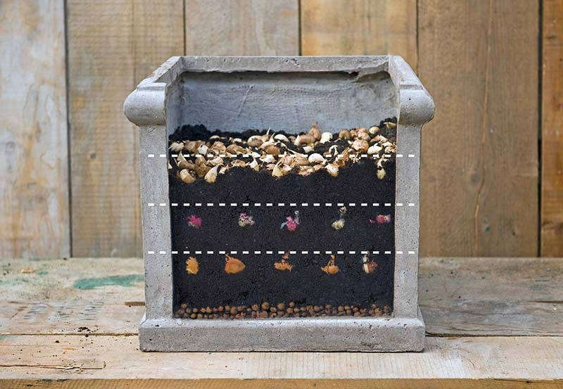 soil levels for autumn planting