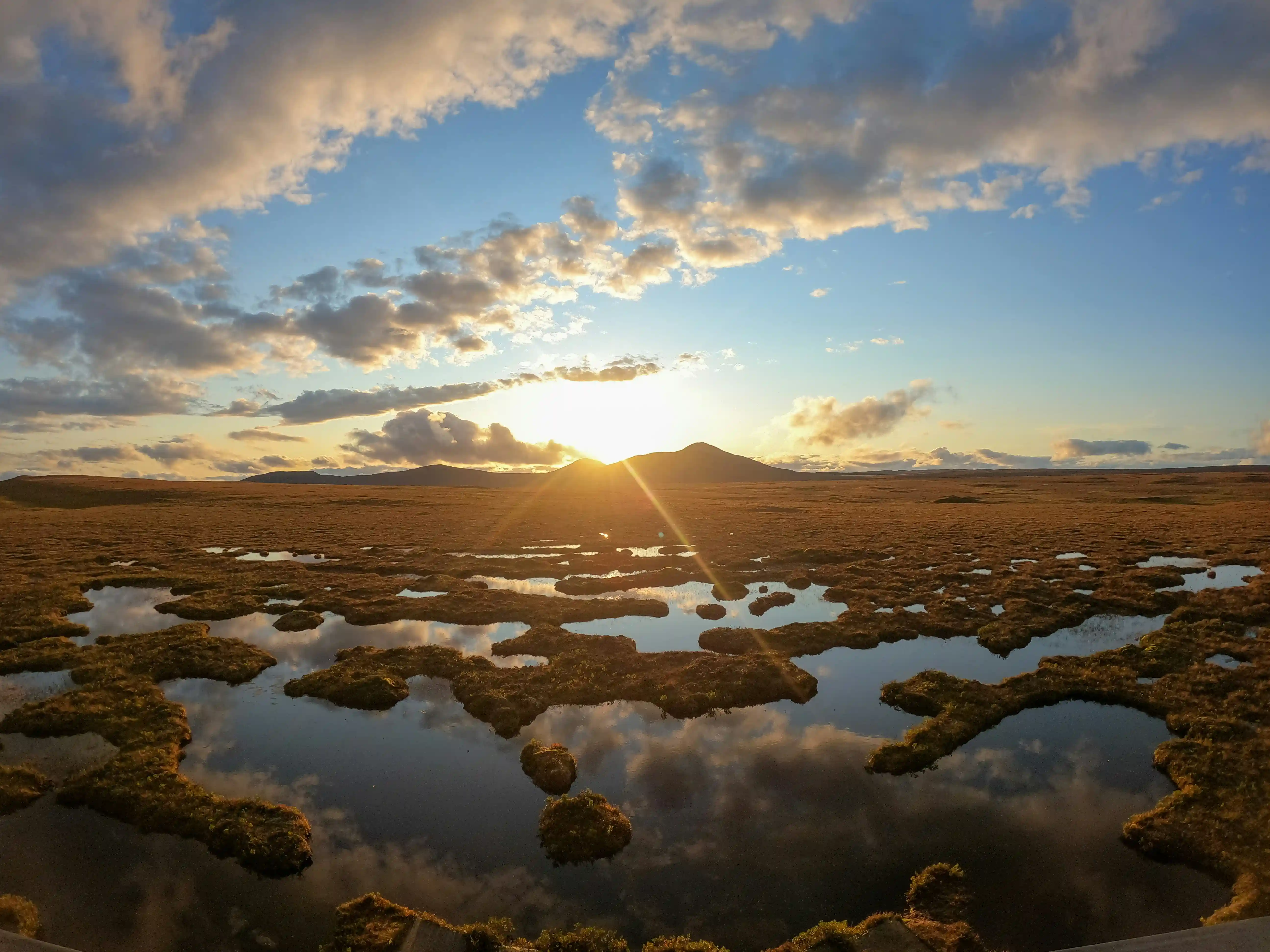 UK peatland upland landscape — a carbon-rich habitat threatened by horticultural extraction