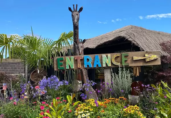 The Boma Garden Centre London