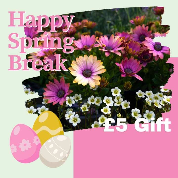 Easter Weekend Offer