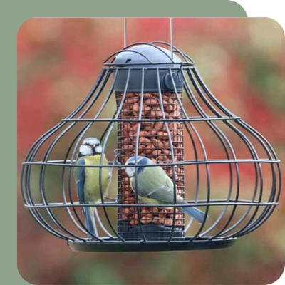 SylvaGrow Ericaceous Compost at Boma Garden Centre, Kentish Town