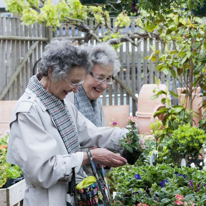 A botanical sanctuary at Boma Garden Centre