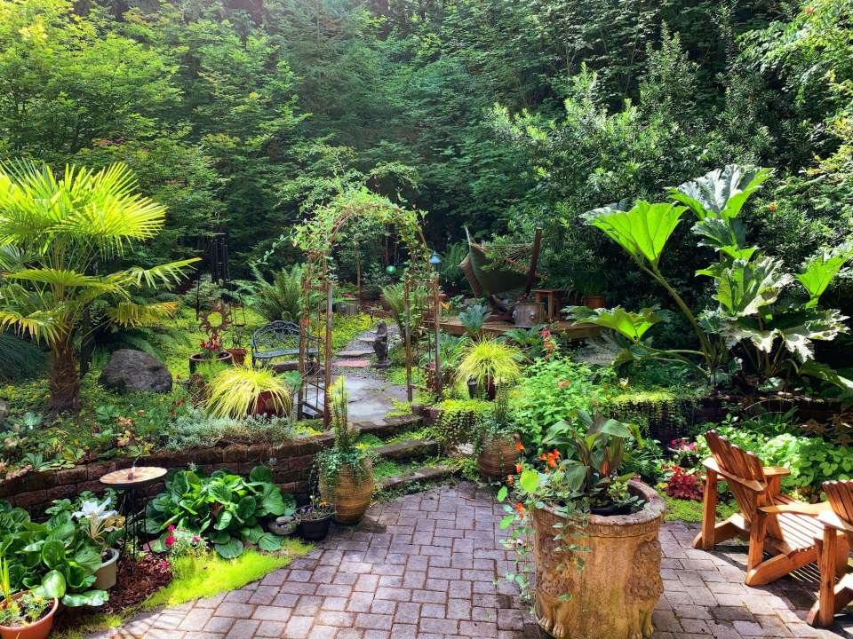 Outdoor plants at Boma Garden Centre kentish Town London