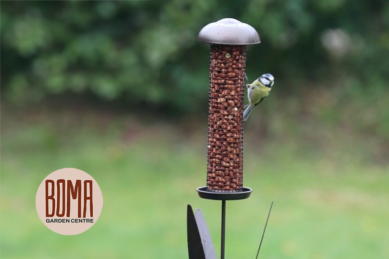 Henry Bell Peanut Bird Feed at Boma Garden Centre Kentish Town London