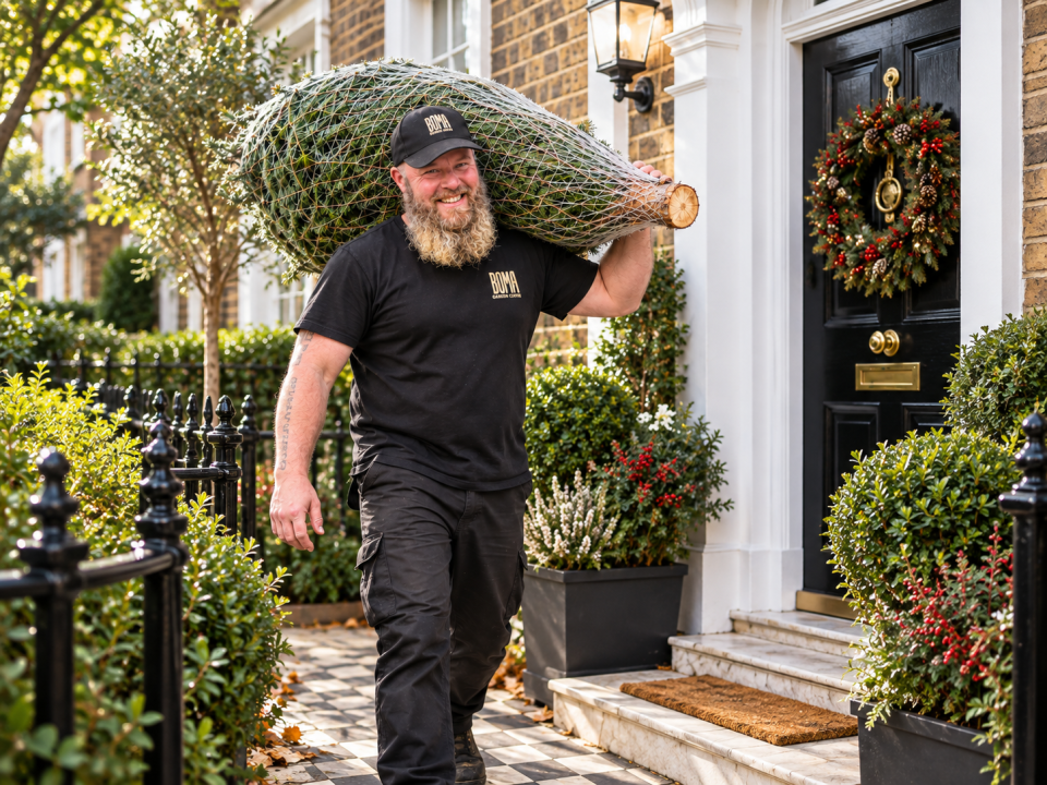 London Real Christmas Tree Delivery from Boma Garden Centre