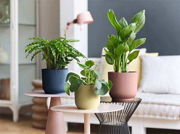 indoor garden pots