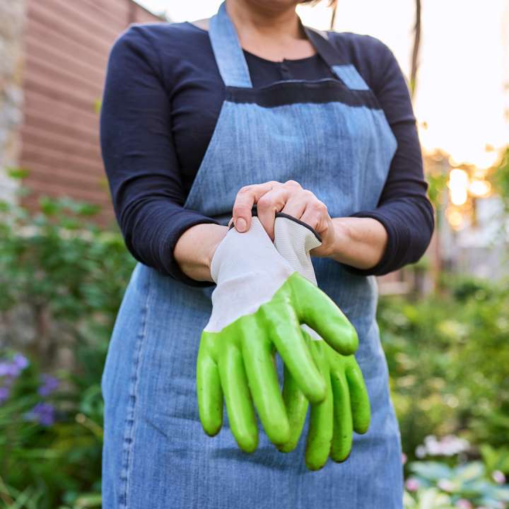 Garden gloves at Boma Garden Centre Kentish Town London