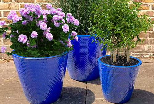 Garden Pots at Boma Garden Centre Kentish Town London