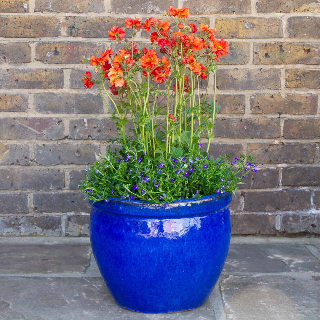 Glazed blue planters at Boma Garden Centre in Kentish Town London