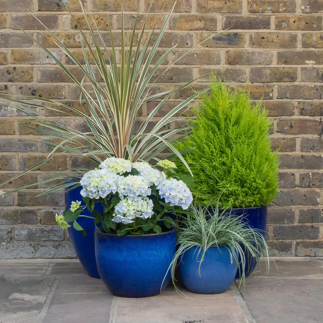 Glazed Terracotta Planters at Boma Garden Centre Kentish Town London