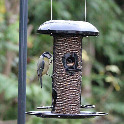 Henry Bell Bird Feeders at Boma Garden Centre Kentish Town London with UK Nationwide delivery