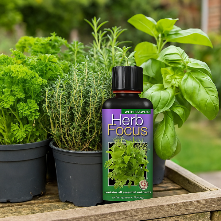 Kitchen Herb Garden Offer at Boma Garden Centre, Kentish Town