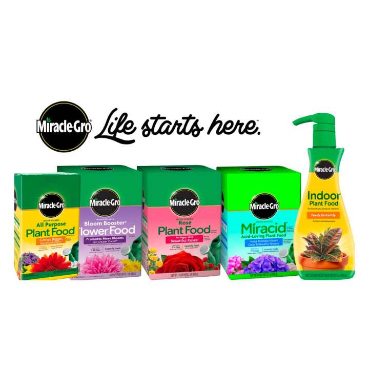 Plant Food and Fertiliser Miracle Gro at Boma garden centre