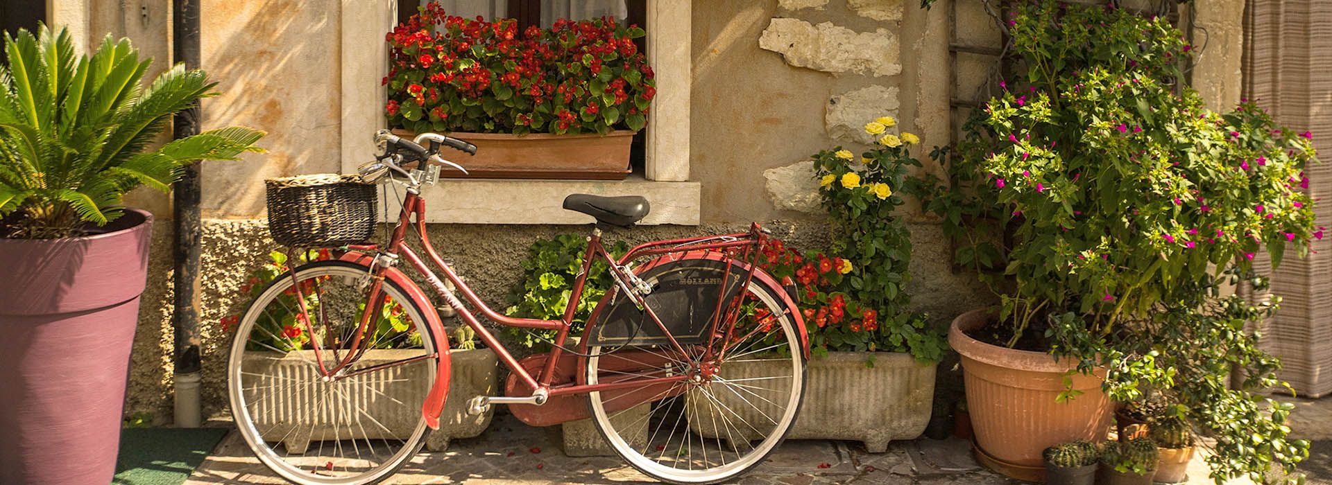 About Us ABOUT THE BOMA GARDEN CENTRE