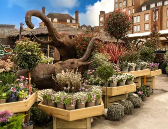 The Boma Garden Centre
