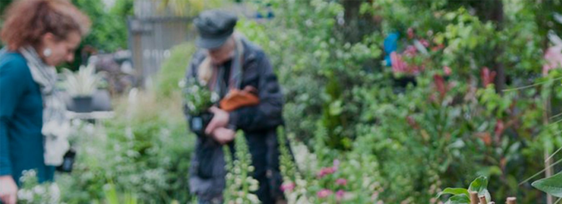 The Boma Garden Centre