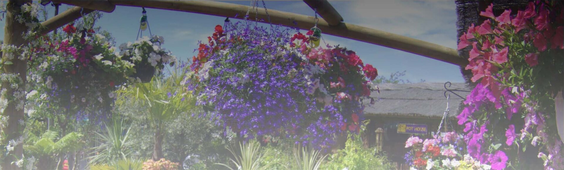 Terms and Conditions THE BOMA TERMS & CONDITIONS