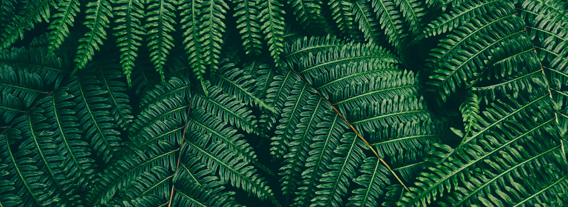 HOW TO MAKE A RETURN