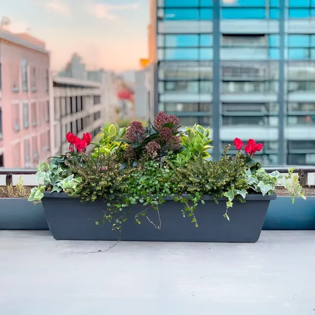 Gardening in November: Top Tips and Garden Jobs