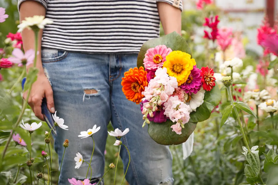 Create a cut flower garden