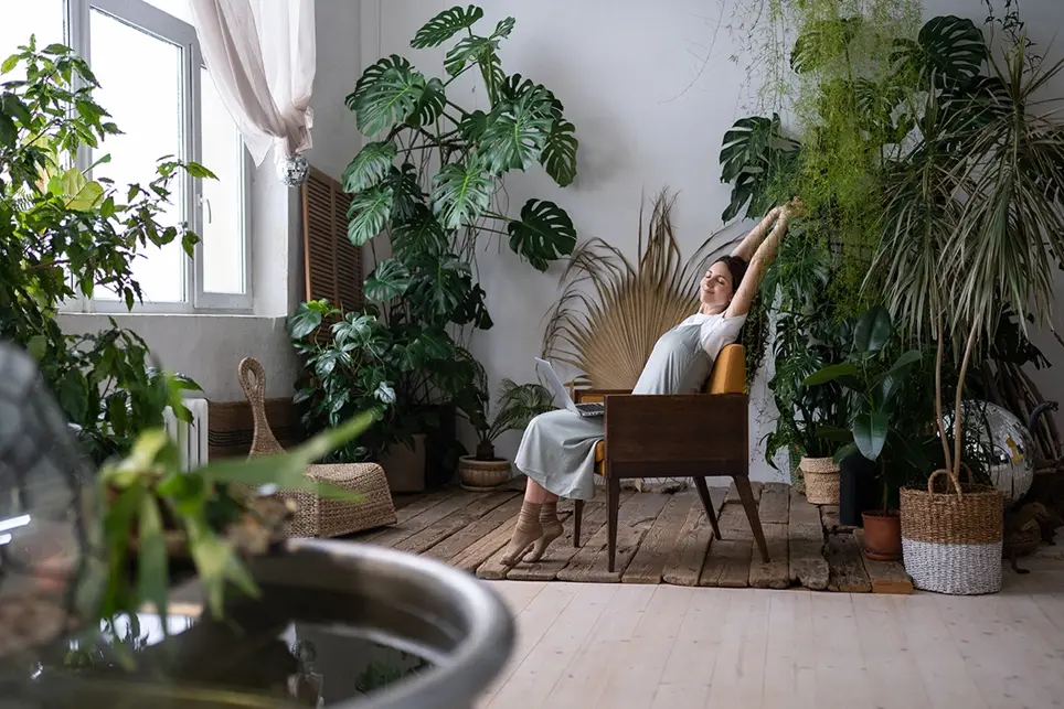 Creating an Indoor Garden– Or are you dreaming of a jungle?