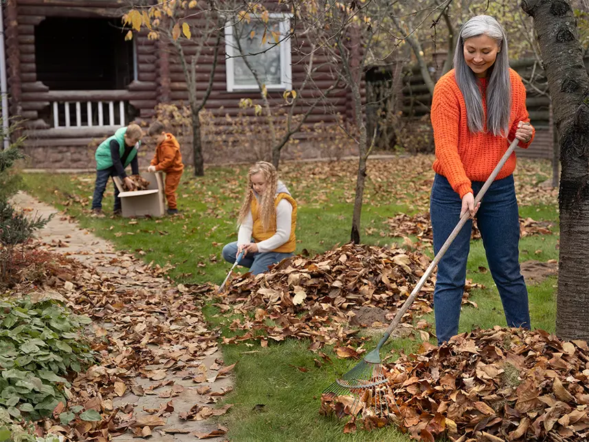 Essential Winter Garden Care: Expert Tips from Boma