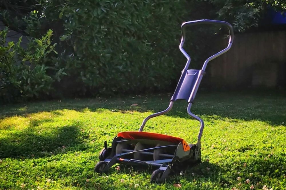 How and when to overseed your lawn - The Boma Garden Centre