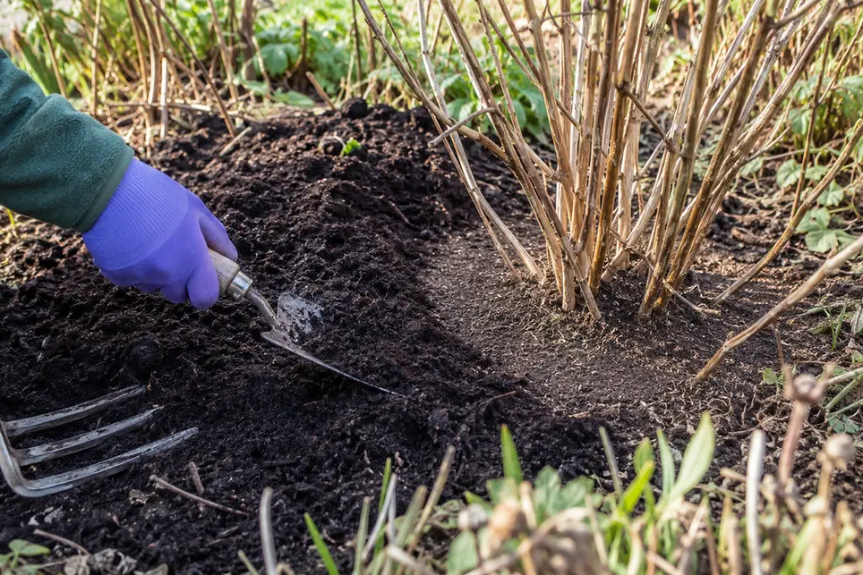 How To Add Compost To Established Garden Beds