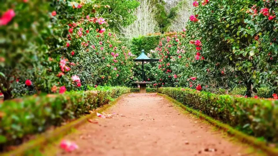 Home and Garden Industry Statistics 2025