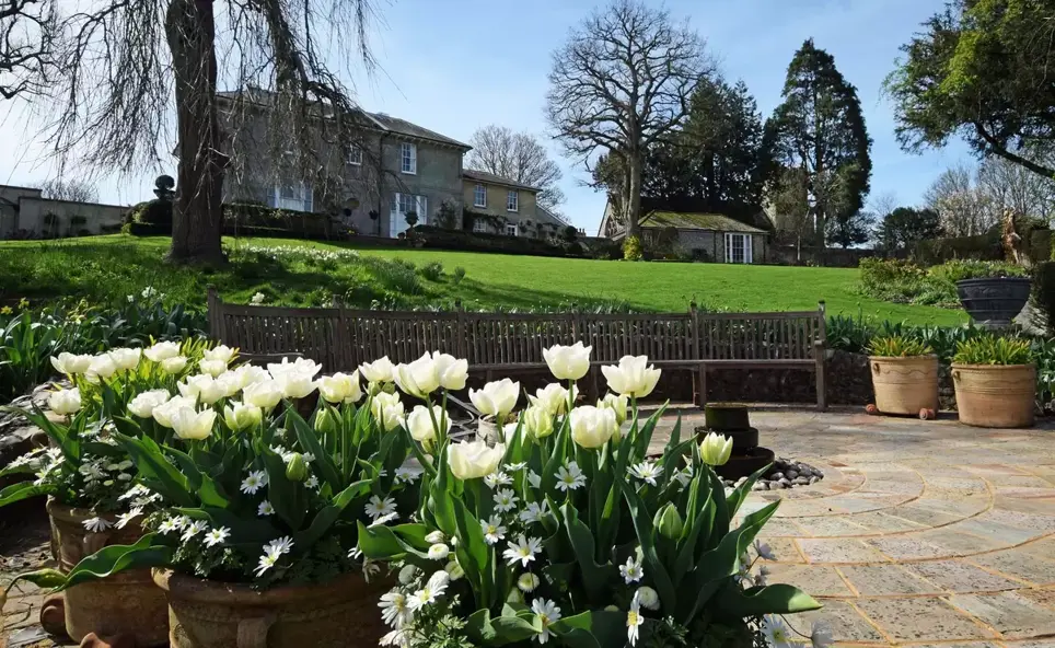 Plant Bulbs In Autumn - The Perfect time for a flowering spring