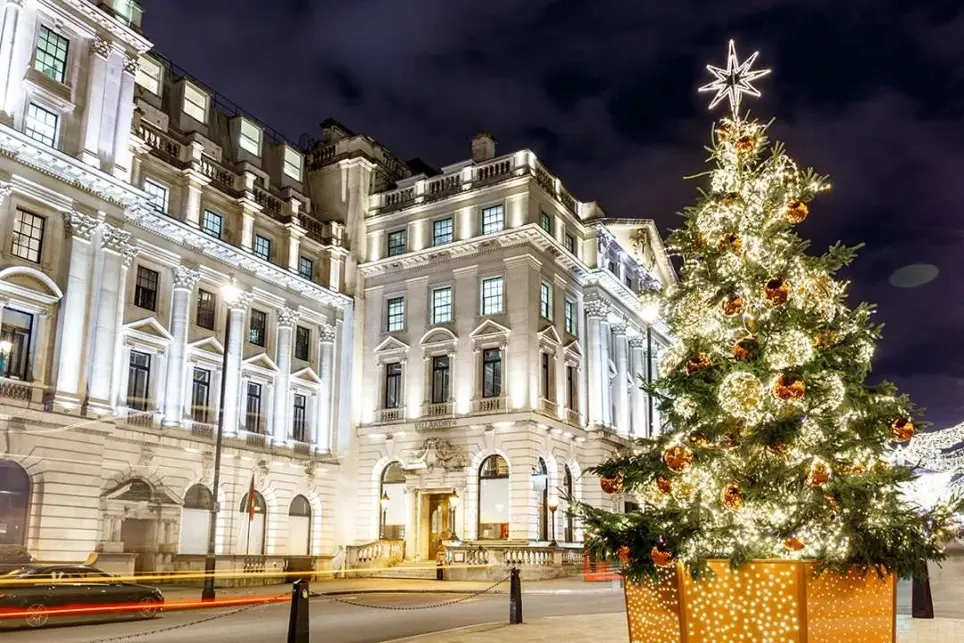 Where to Buy real Christmas Trees London