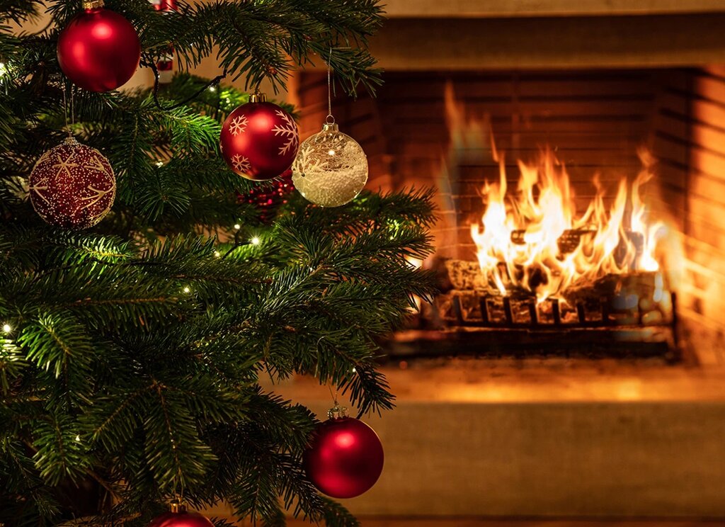 Real Christmas Trees London's Festive Passion