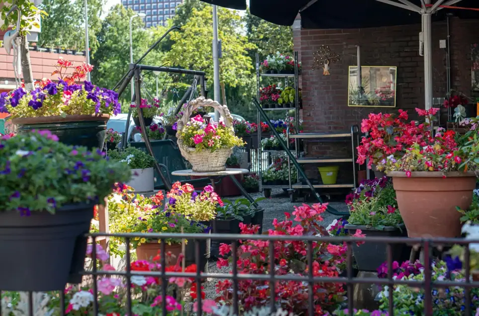 Urban Garden Design Ideas in London